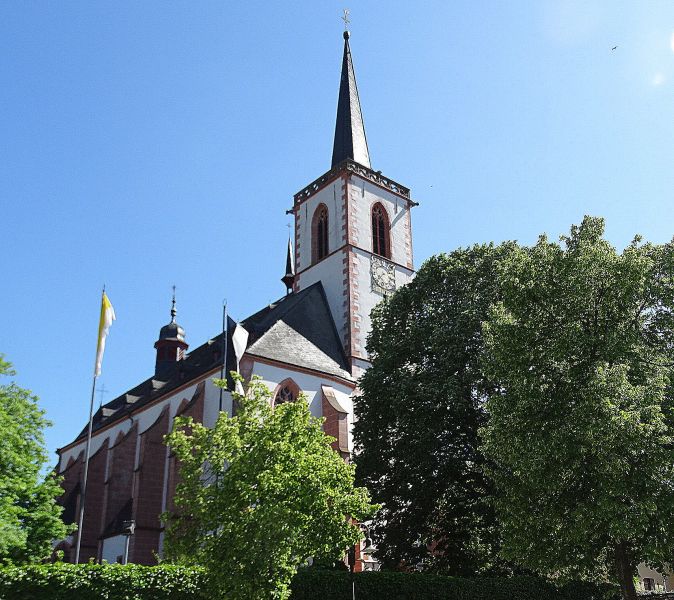 Mosel Camino - Pilgino