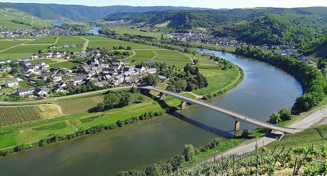 Mosel Camino - Pilgino