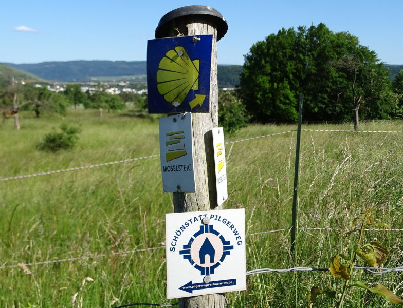 Mosel Camino - Pilgino