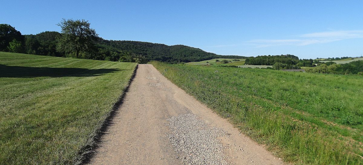 Mosel Camino - Pilgino
