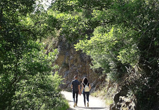 Mosel Camino - Pilgino
