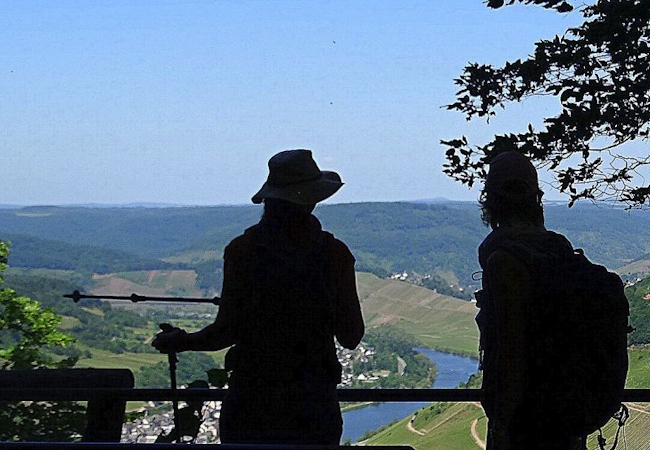 Mosel Camino - Pilgino