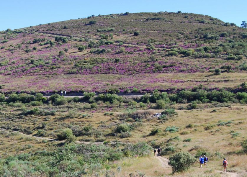 Tour 3 León - Pilgino