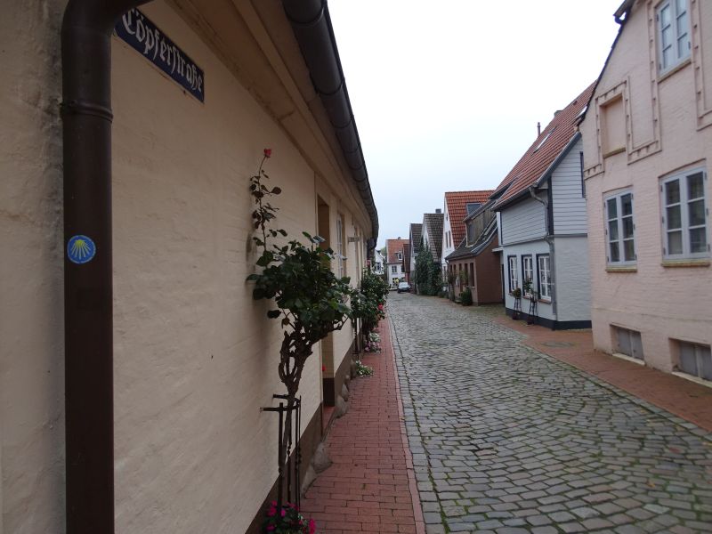 Via Jutlandica - Pilgino