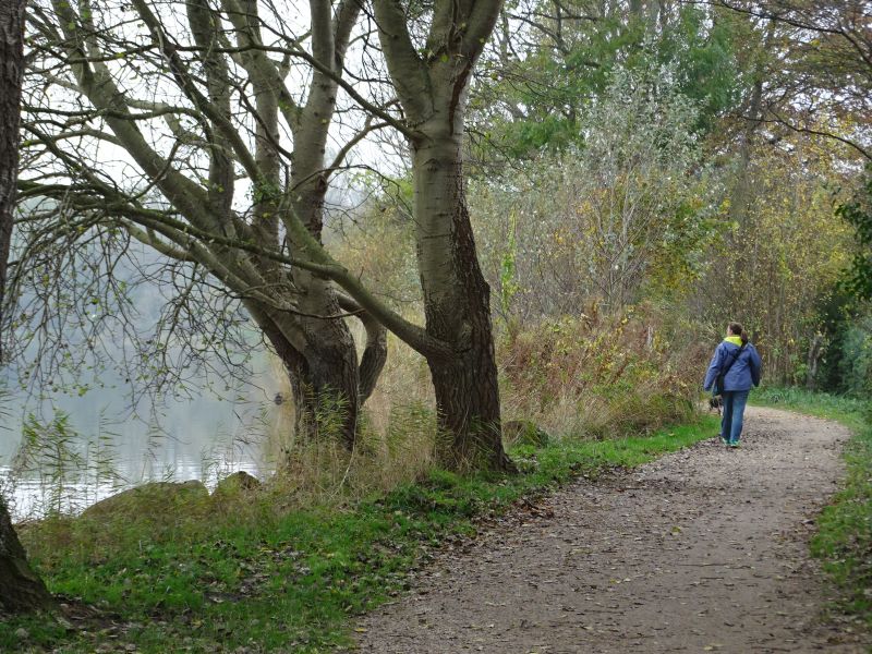 Via Jutlandica - Pilgino