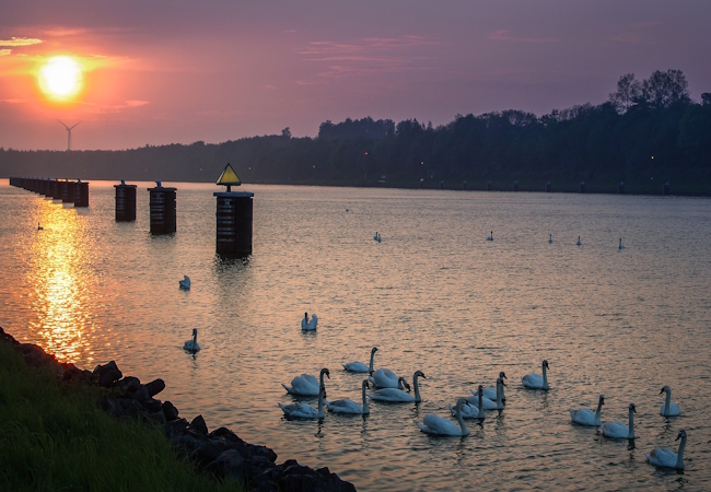 Via Jutlandica - Pilgino