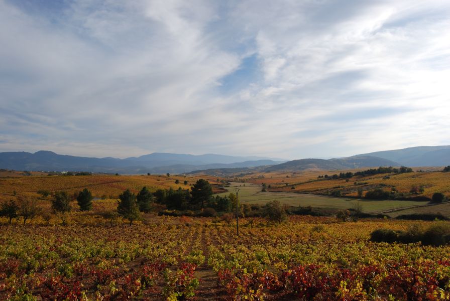 Tour 3 León - Pilgino