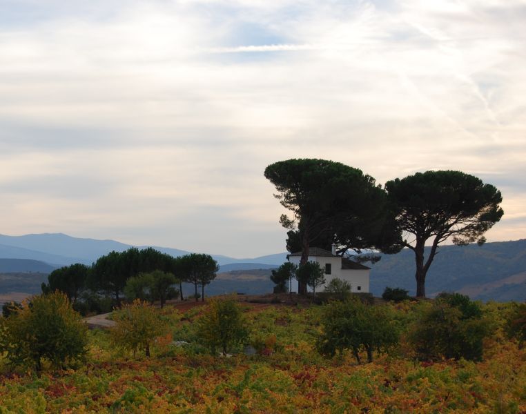 Tour 3 León - Pilgino