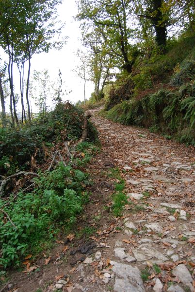 Tour 4 Santiago - Pilgino