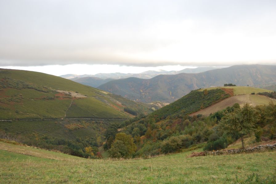 Tour 4 Santiago - Pilgino