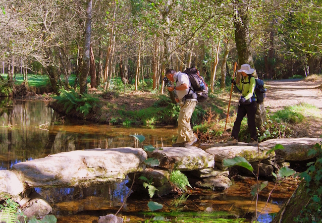Camino Francés Die letzten 100 km (Kurzetappen) - Pilgino