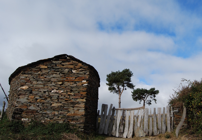 Camino Francés Die letzten 100 km (Kurzetappen) - Pilgino