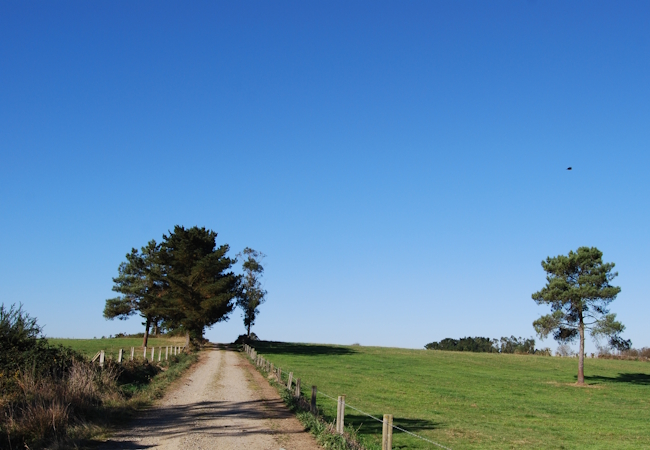 Tour Fisterra - Pilgino
