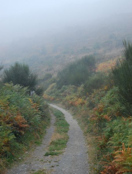 Tour 4 Santiago - Pilgino