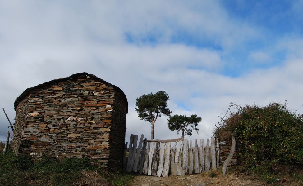 Camino Francés Die letzten 100 km (Kurzetappen) - Pilgino