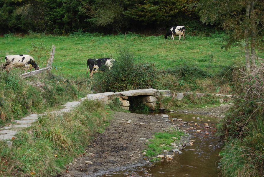 Camino Francés Die letzten 100 km (Kurzetappen) - Pilgino
