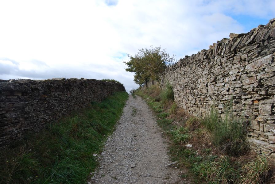 Camino Francés Die letzten 100 km (Kurzetappen) - Pilgino