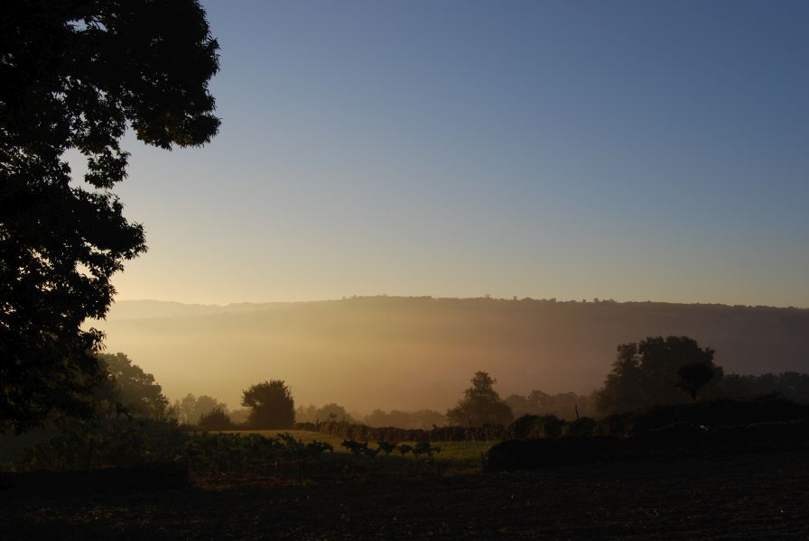 Camino Francés Die letzten 100 km (Kurzetappen) - Pilgino