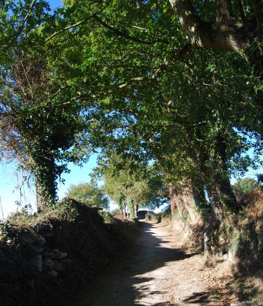 Camino Francés Die letzten 100 km (Kurzetappen) - Pilgino