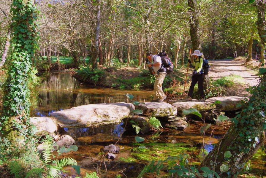Camino Francés Die letzten 100 km (Kurzetappen) - Pilgino