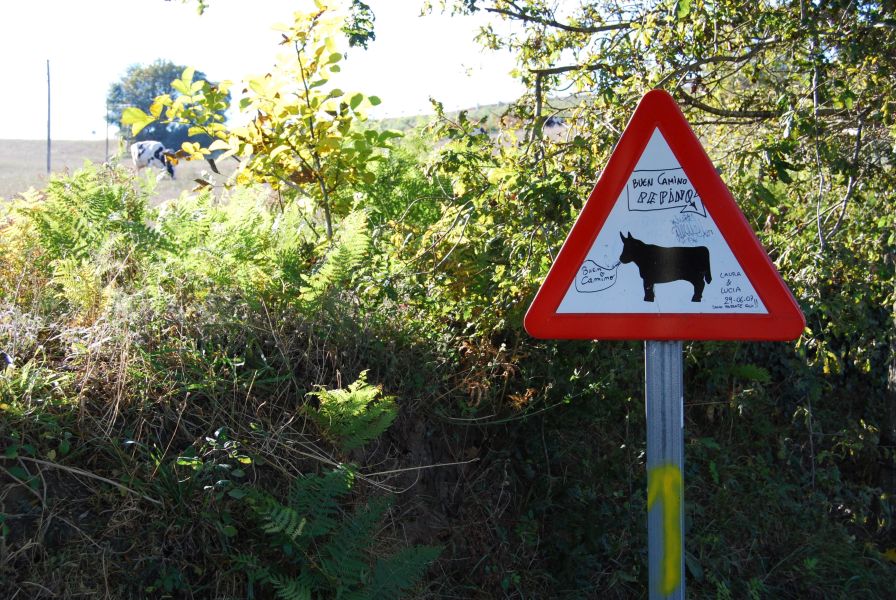 Camino Francés Die letzten 100 km (Kurzetappen) - Pilgino