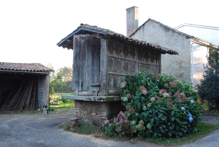 Camino Francés Die letzten 100 km (Kurzetappen) - Pilgino