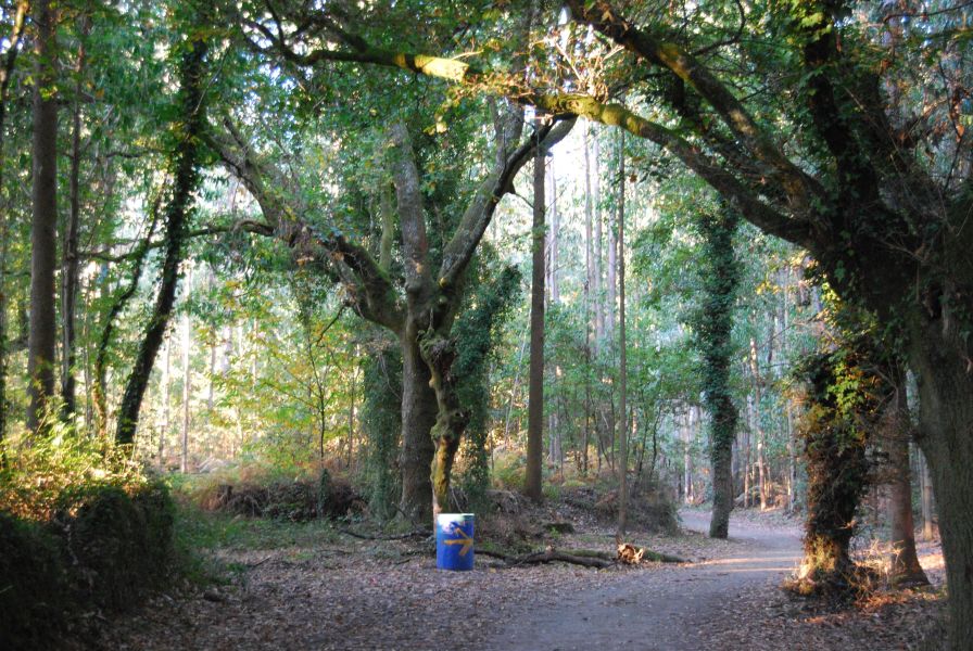 Camino Francés Die letzten 100 km (Kurzetappen) - Pilgino