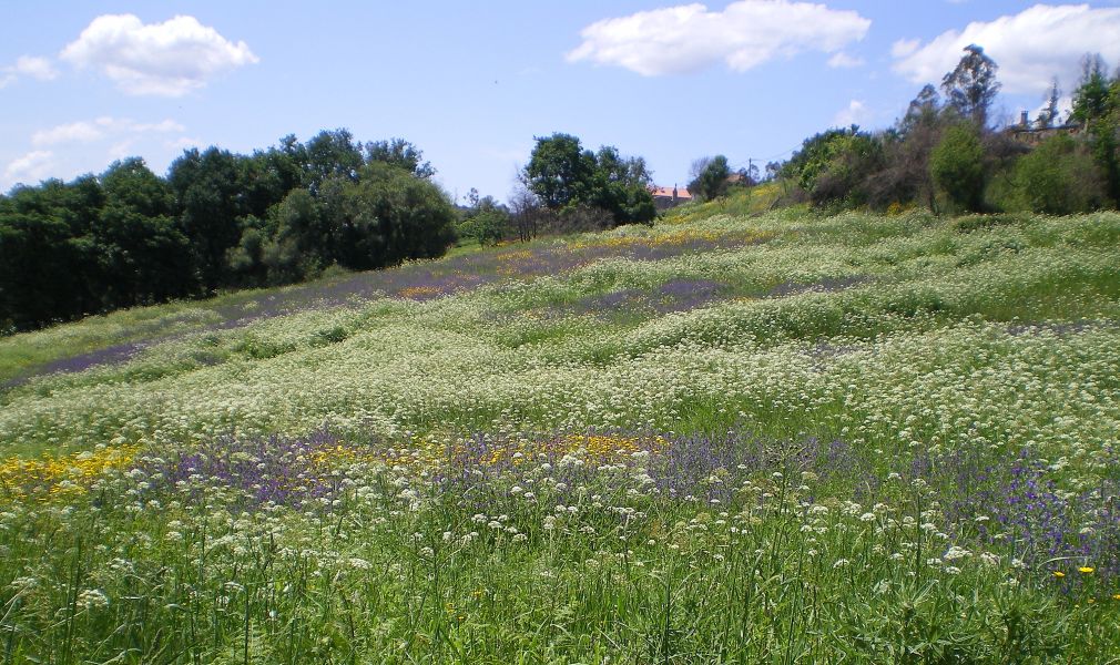 Tour Fisterra - Pilgino
