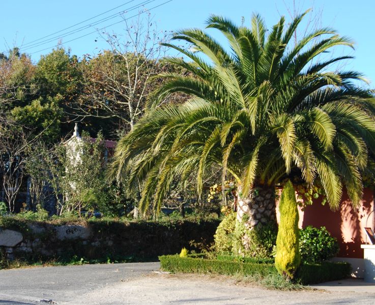 Tour Fisterra - Pilgino