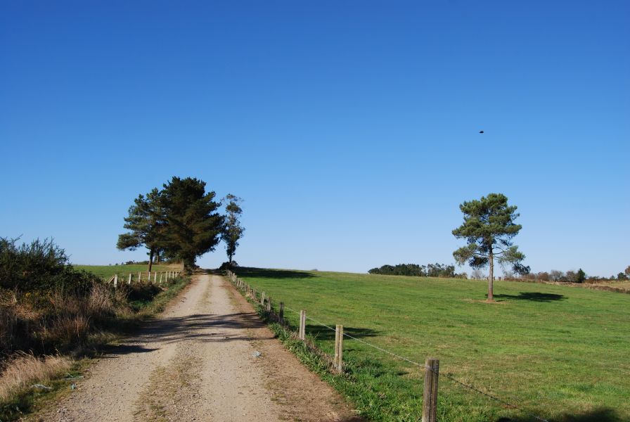 Tour Fisterra - Pilgino