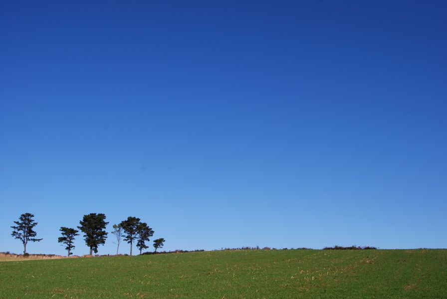 Tour Fisterra - Pilgino