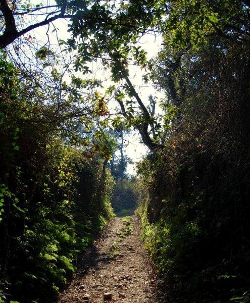 Tour Fisterra - Pilgino