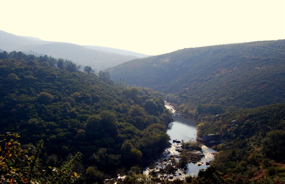 Tour Fisterra - Pilgino