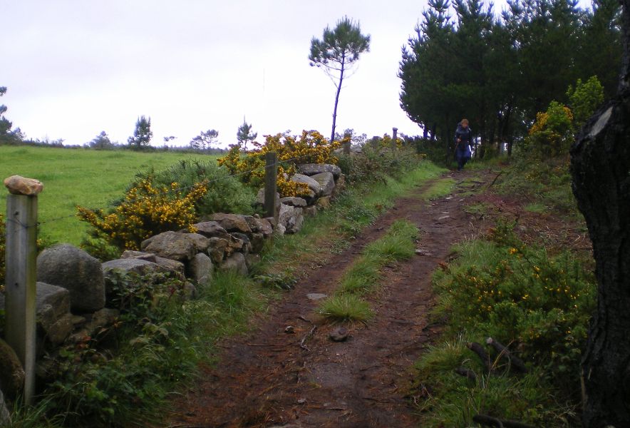 Tour Fisterra - Pilgino