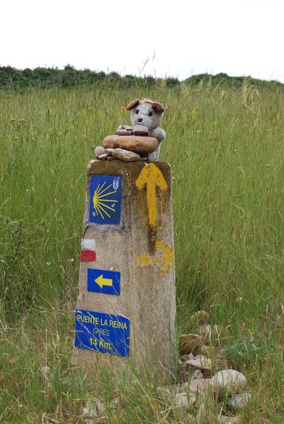 Ruta 1 Pamplona - Pilgino