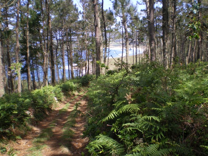 Tour 5 Fisterra - Pilgino