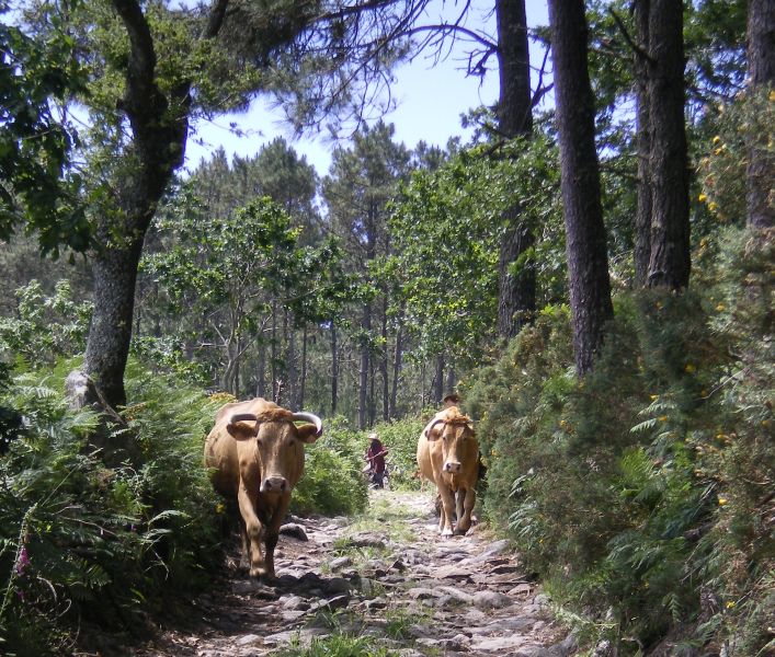 Tour 5 Fisterra - Pilgino