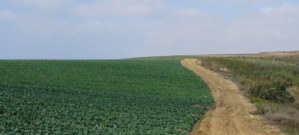 Tour PK1 Lissabon - Pilgino