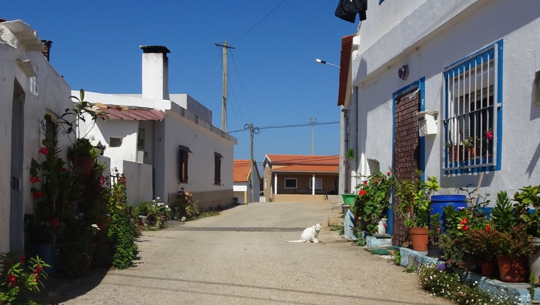 Tour PK1 Lissabon - Pilgino