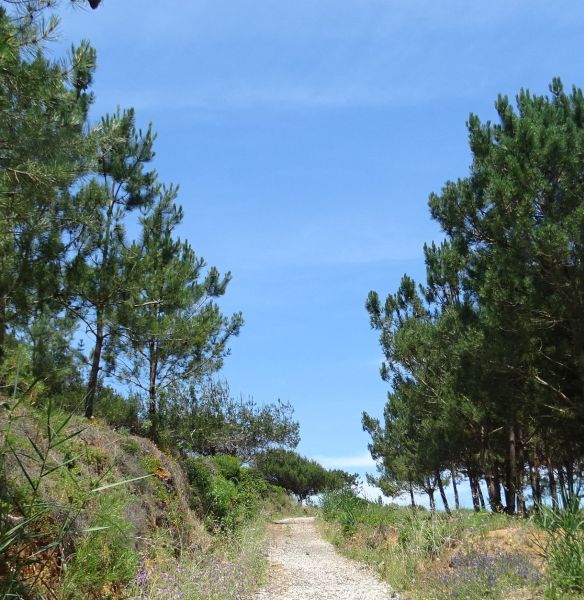 Tour PK1 Lissabon - Pilgino