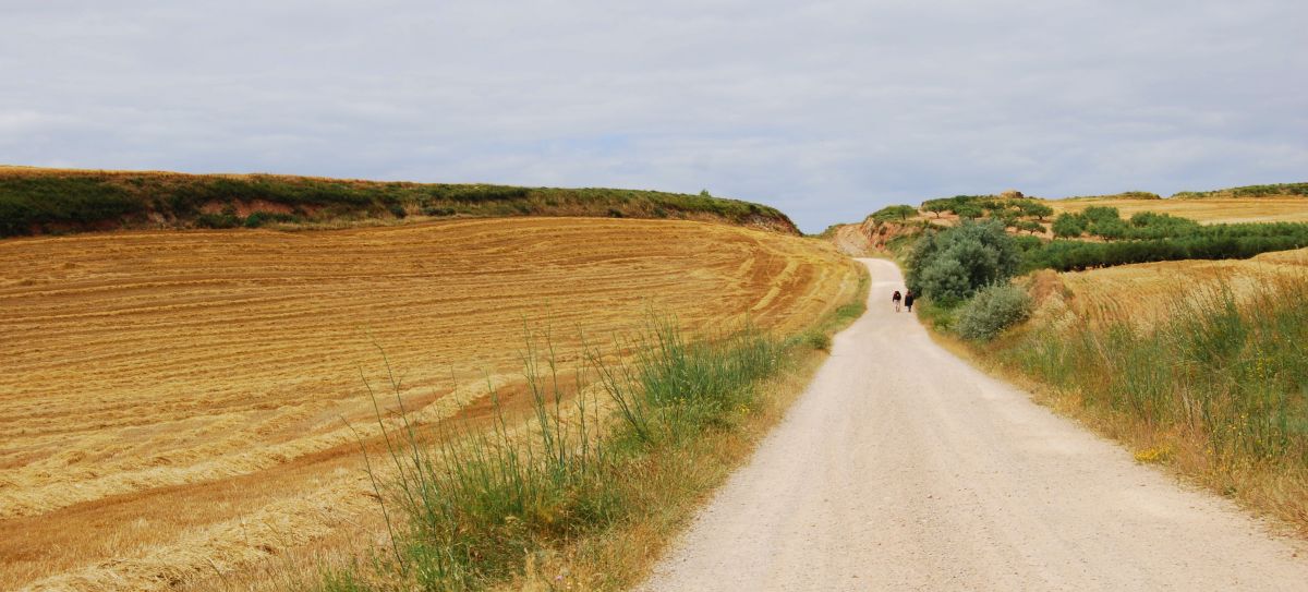Ruta 1 Pamplona - Pilgino