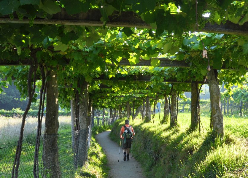 Tour PK2 Fátima - Pilgino