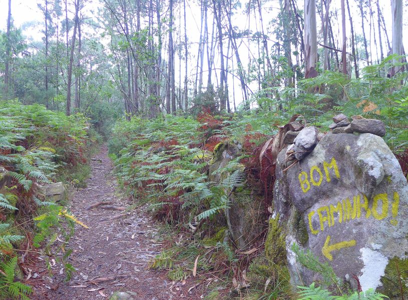 Tour PK2 Fátima - Pilgino