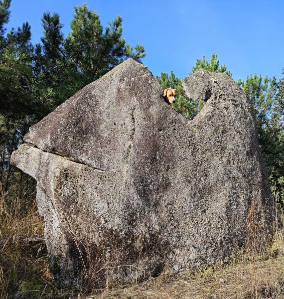 Tour PK2 Fátima - Pilgino