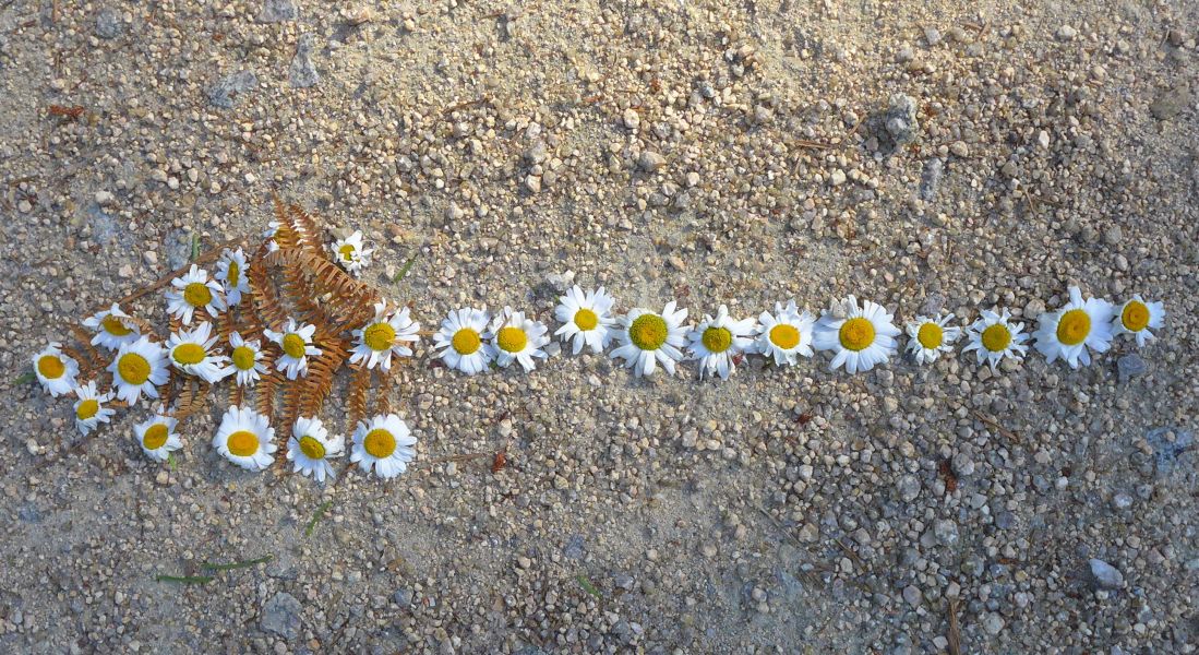 Tour PK2 Fátima - Pilgino