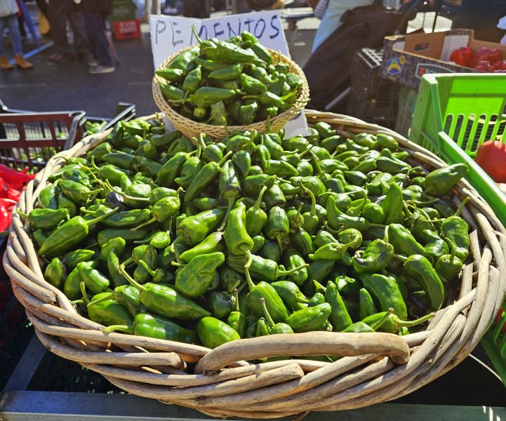 Tour PK2 Fátima - Pilgino