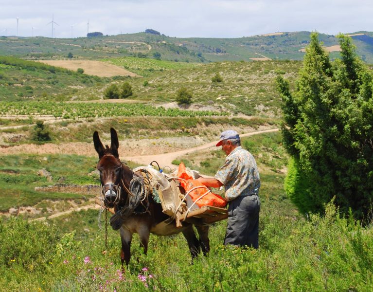 Ruta 1 Pamplona - Pilgino