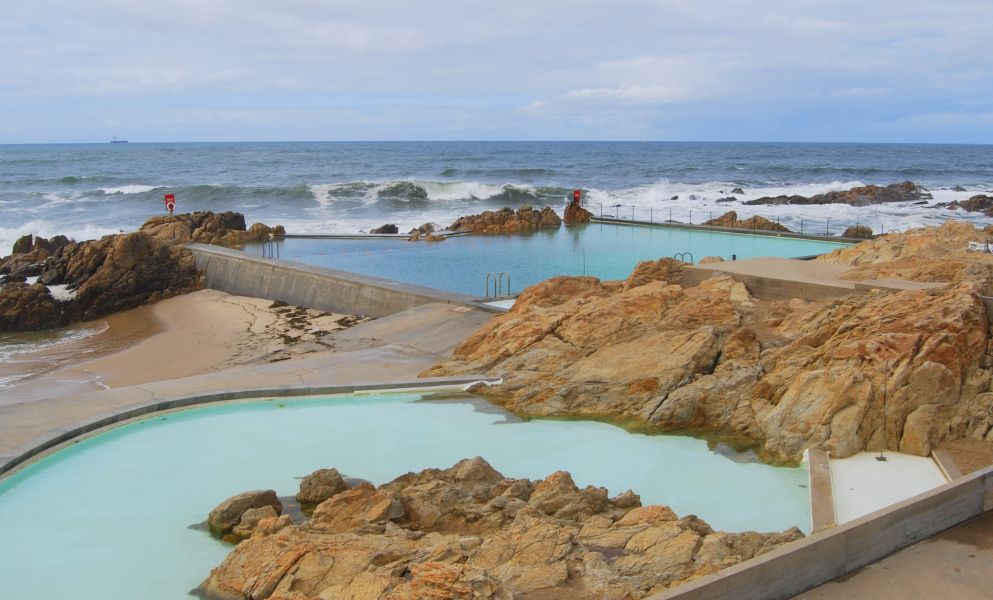 Caminho Português - Interior - Pilgino