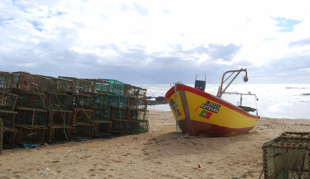 Caminho Português - Interior - Pilgino
