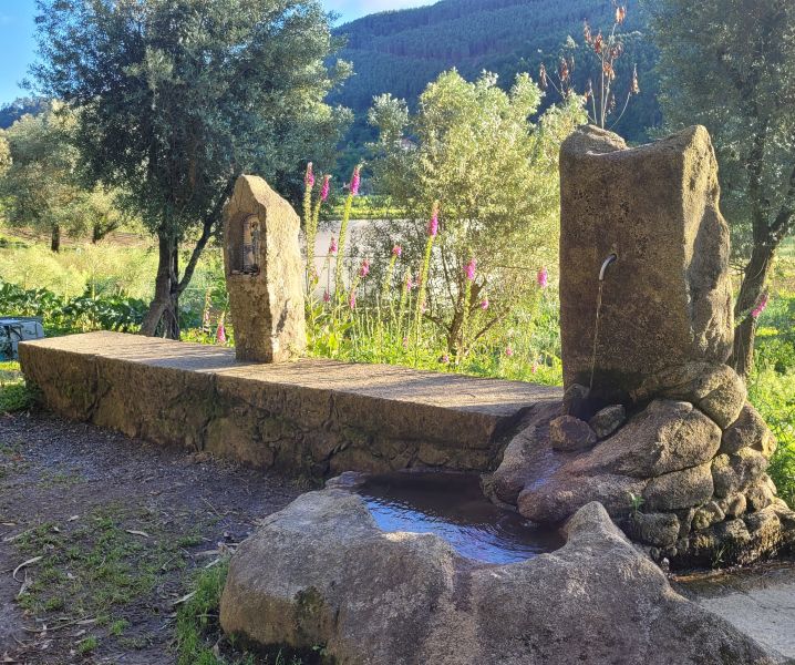 Caminho Português - Interior - Pilgino